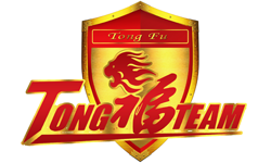 Dire team logo