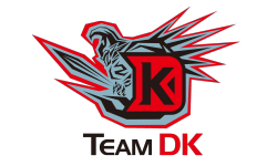 Dire team logo