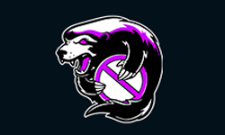 Radiant team logo